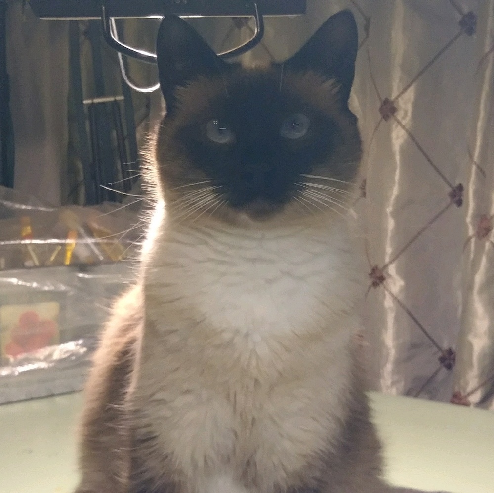 Meet your Posher, Kathy